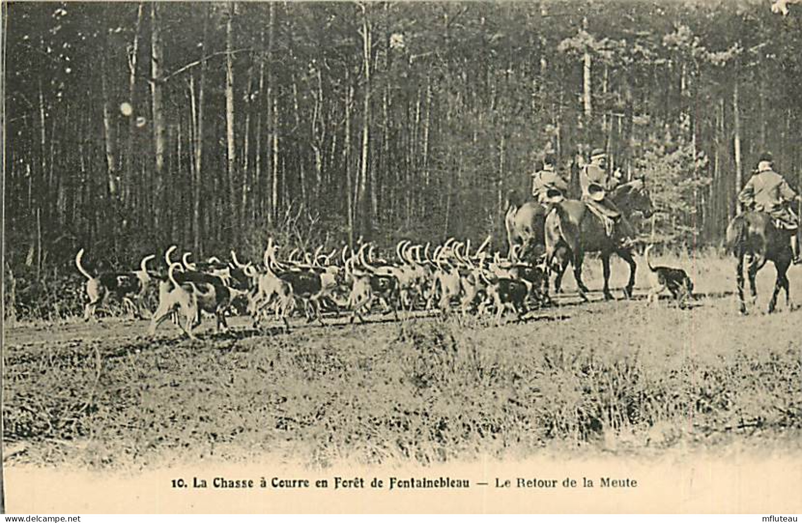 77* FONTAINEBLEAU  Chasse A Courre  Retour De La Meute     RL07.1211 - Jagd