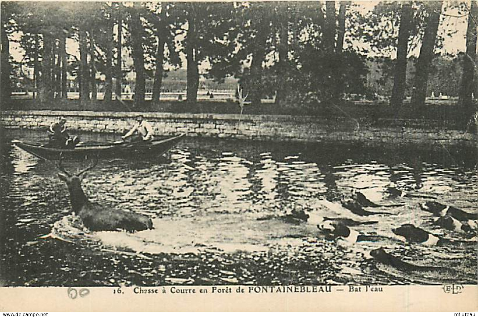 77* FONTAINEBLEAU  Chasse A Courre  Bat L Eau    RL07.1212 - Hunting