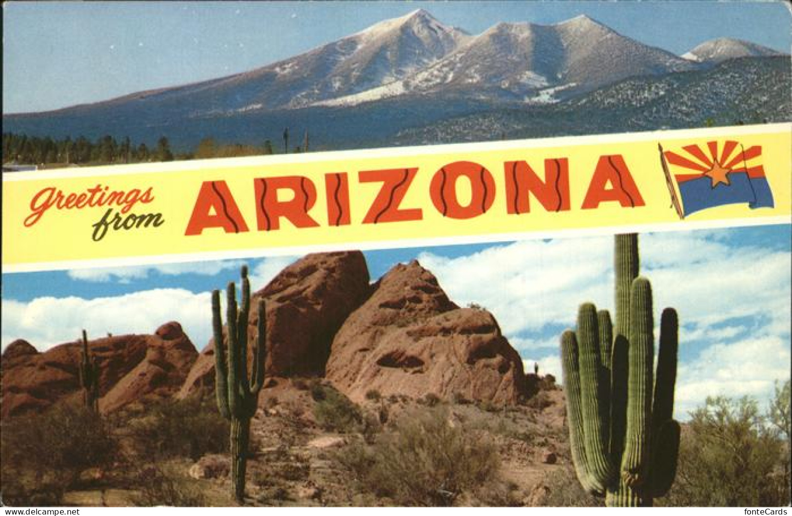 11491476 Phoenix Arizona Panorama Mountains Desert Cactus Phoenix Arizona - Andere & Zonder Classificatie