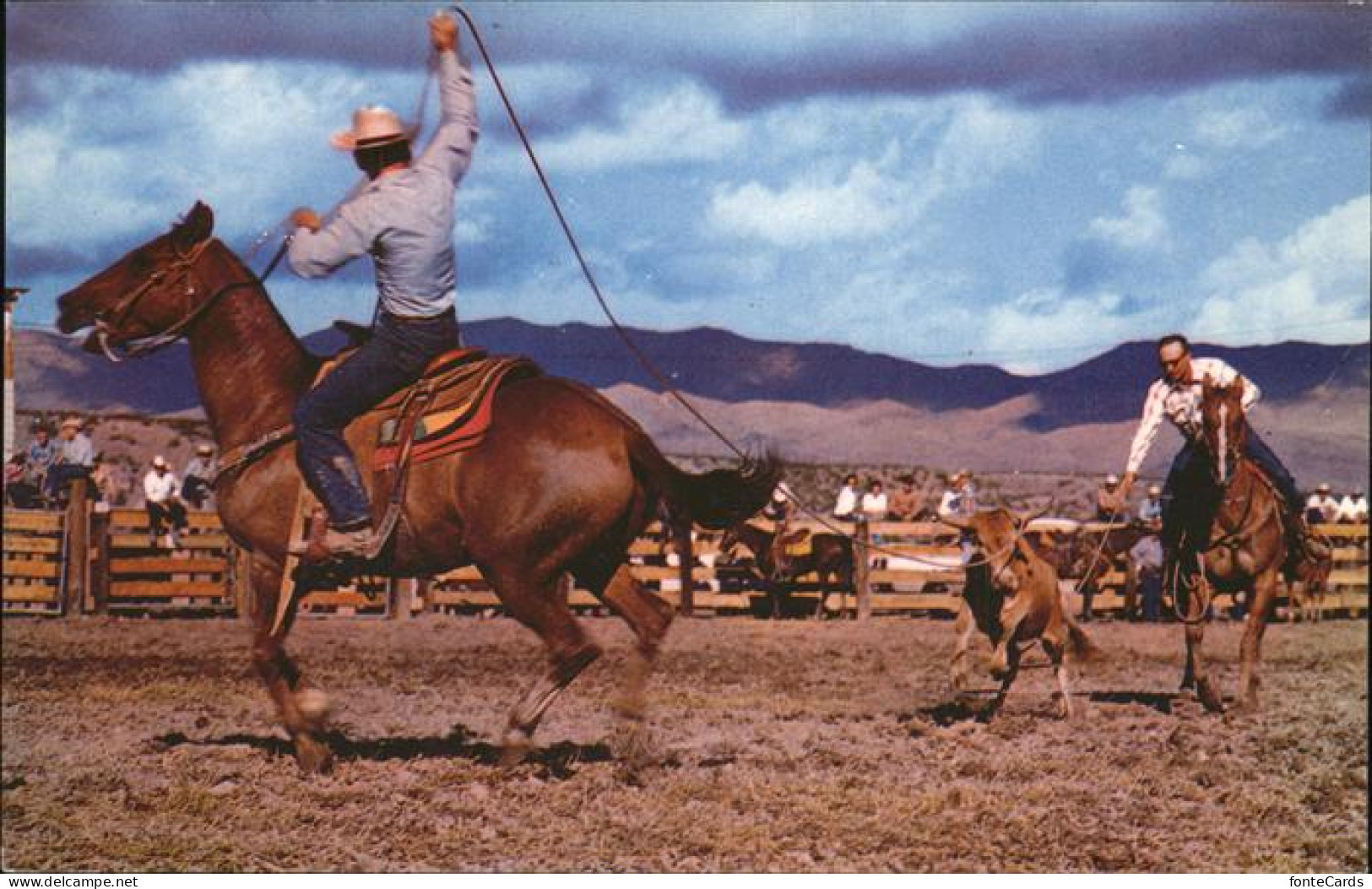 11491467 Rodeo_California Calf Roping - Autres & Non Classés