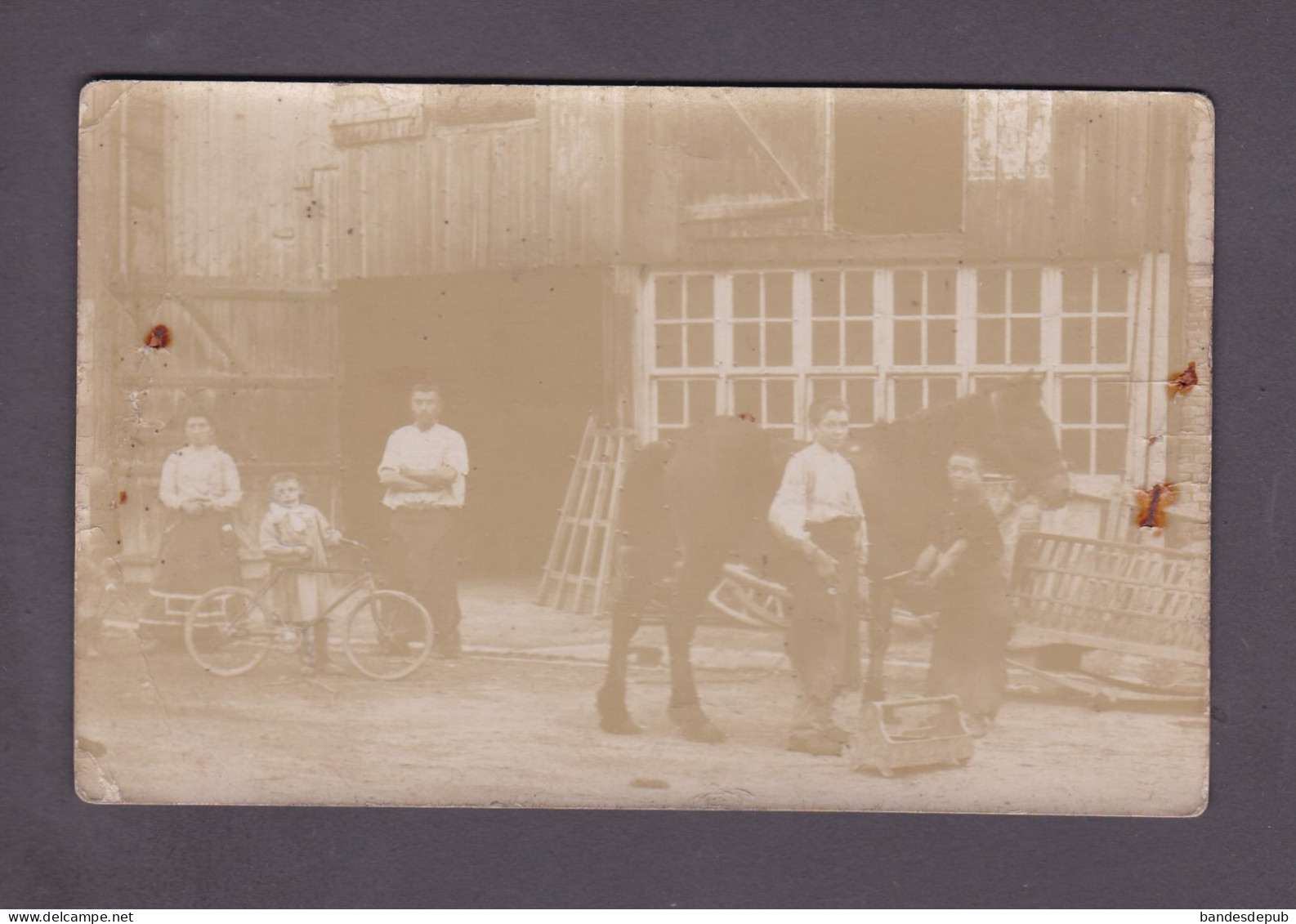 Carte Photo à Situer Arch. Famille De Ste Sainte Menehould Marne Marechal Ferrant Cheval  (3875) - Sainte-Menehould