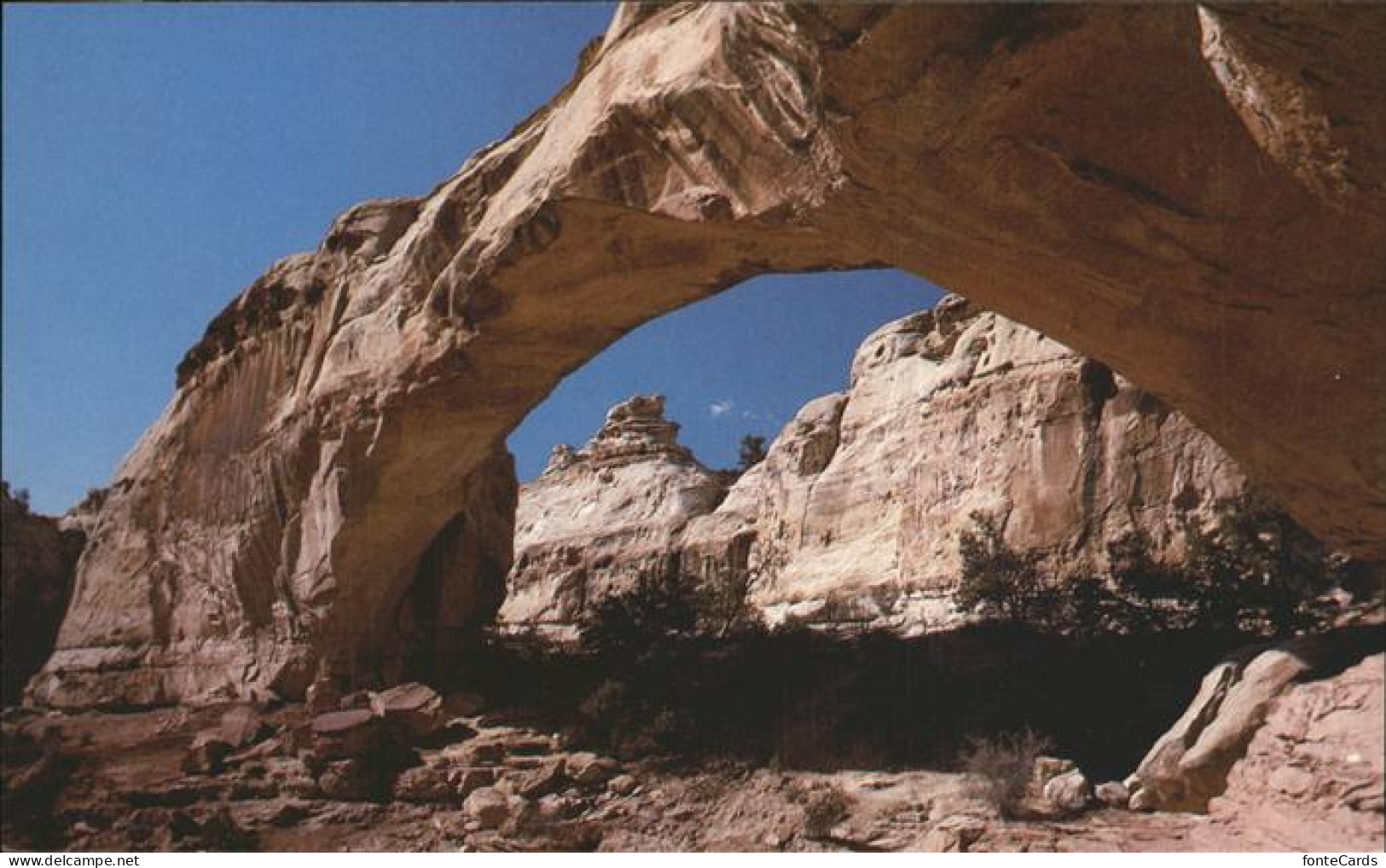 11491368 Torrey Capitol Reef National Park Hickman Natural Bridge - Otros & Sin Clasificación