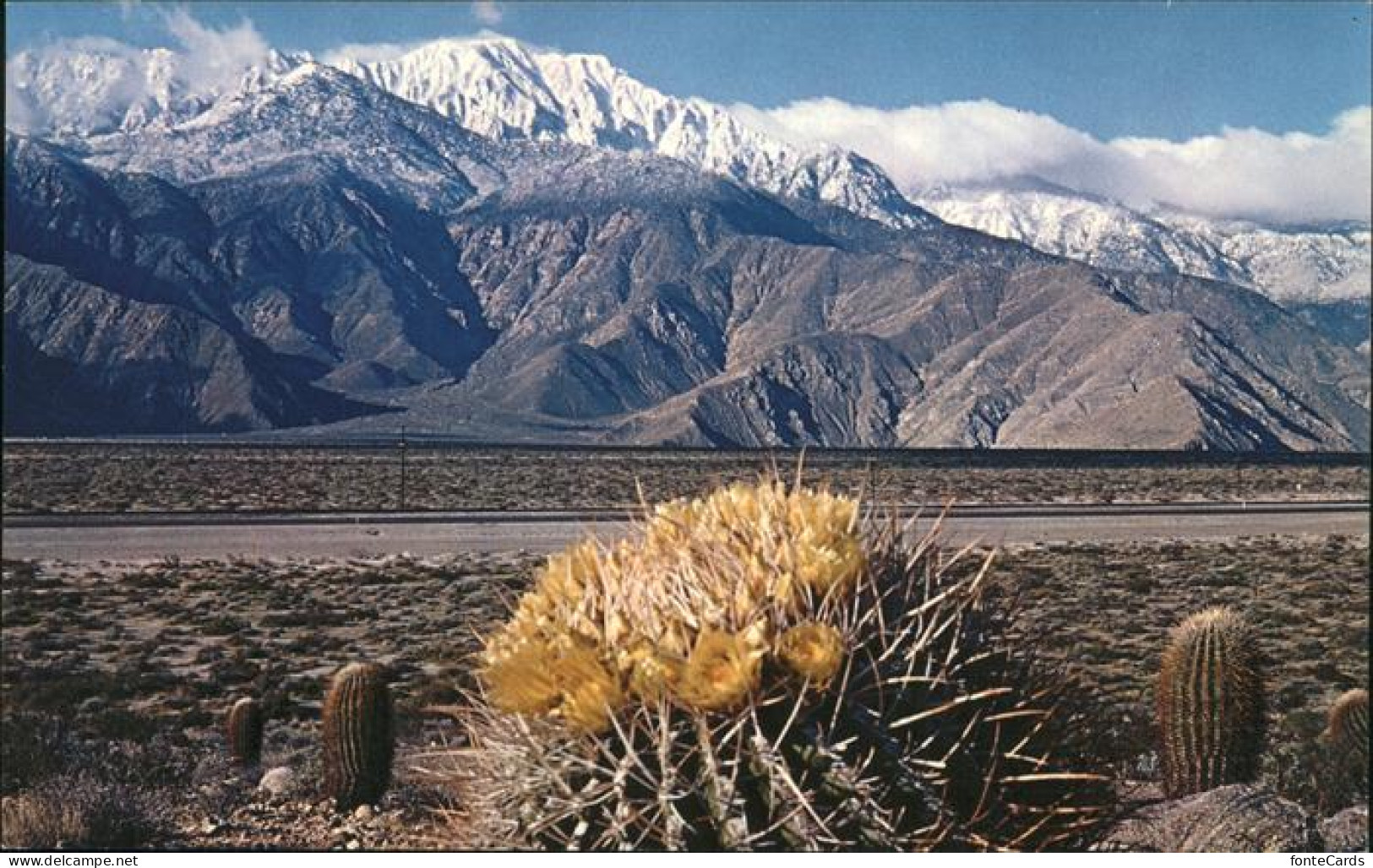 11491339 Santa_Ana_California Springtime Contrast On The Desert Cactus Mountains - Autres & Non Classés