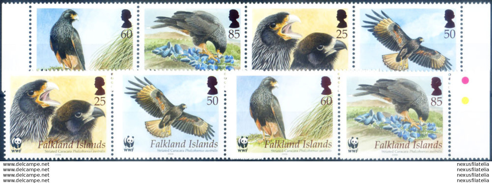 Fauna. Uccelli Rapaci 2006. - Falkland Islands