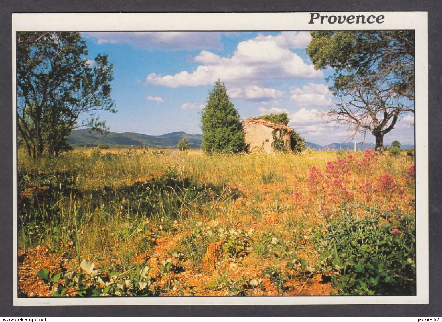 121361/ PAILHARES, *Reflets De Provence* - Autres & Non Classés