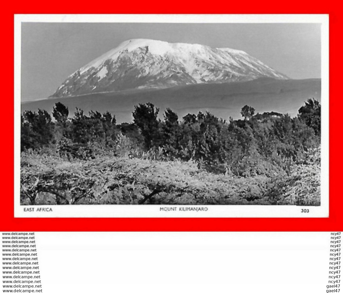 CPSM/pf  TANZANIE.  Mount Kilimanjaro, Glacé...CO2118 - Tanzania