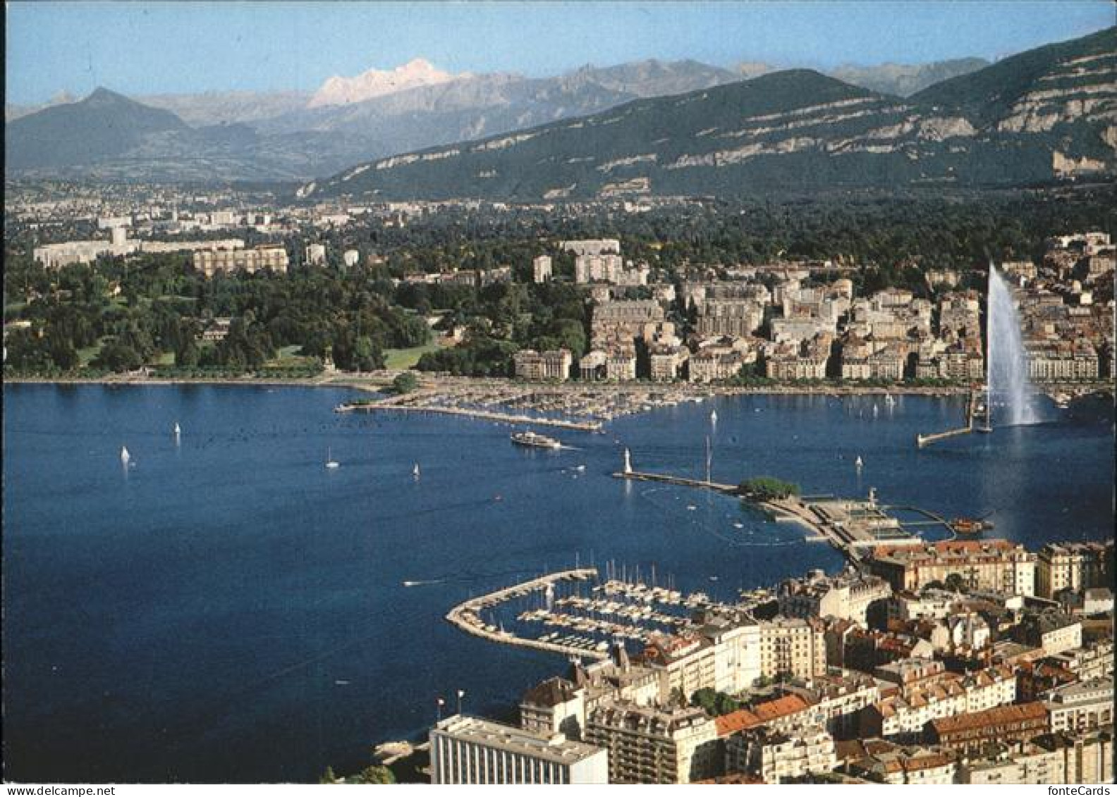 11488378 Geneve GE  Geneve - Altri & Non Classificati