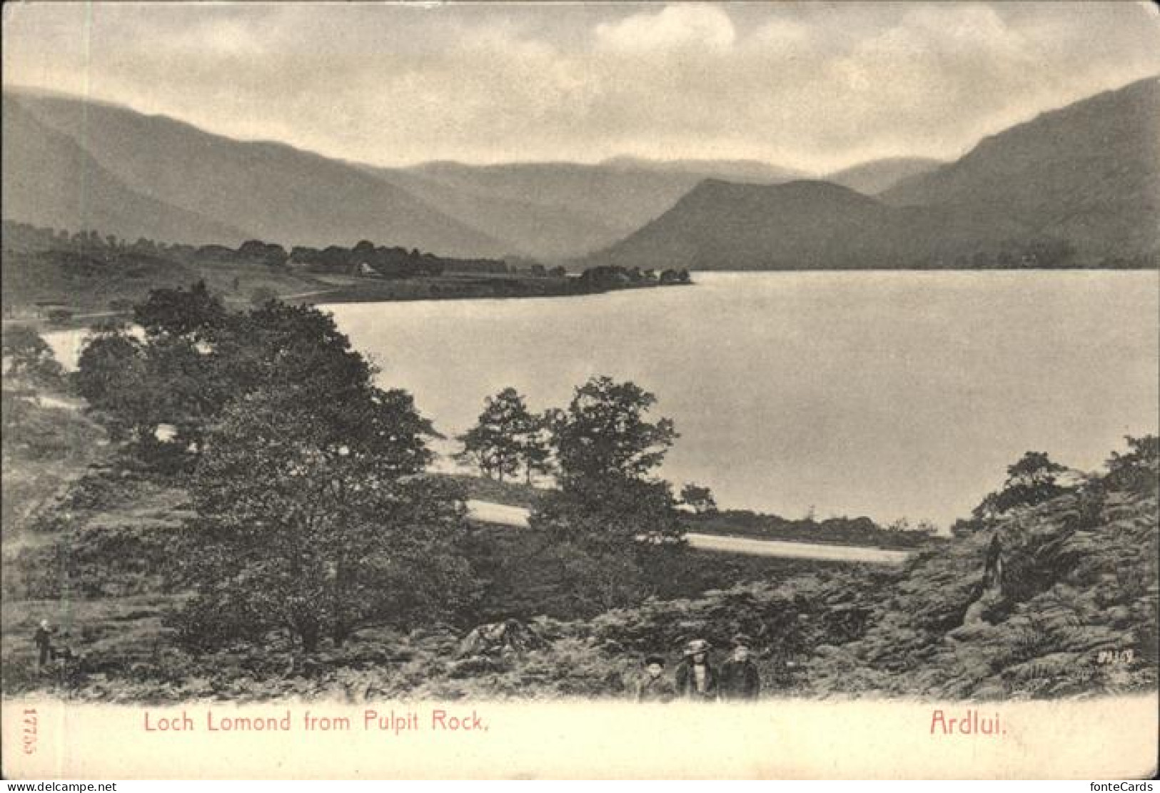 11487421 Loch Lomond Scotland  Swan Island - Other & Unclassified