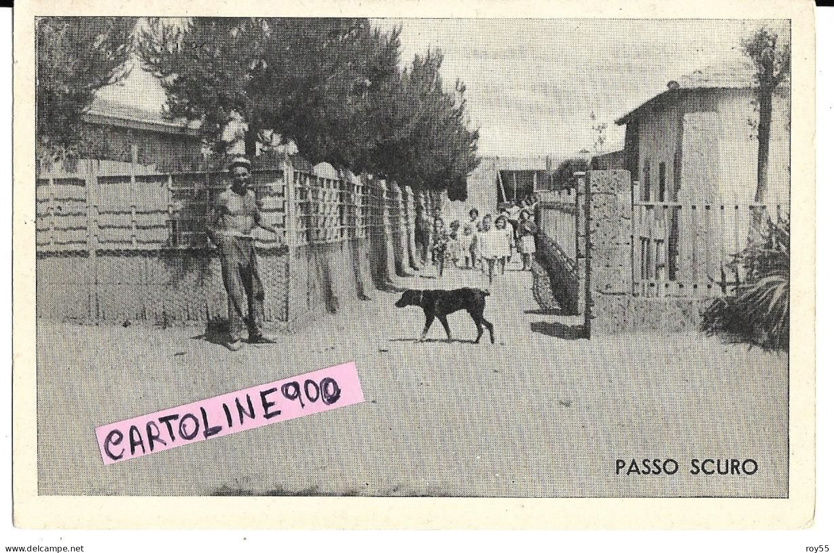 Lazio-fiumicino-passoscuro Frazione Di Fiumicino Veduta Villini Di Passo Scuro Animata Primi Anni 50 (v.retro) - Autres & Non Classés