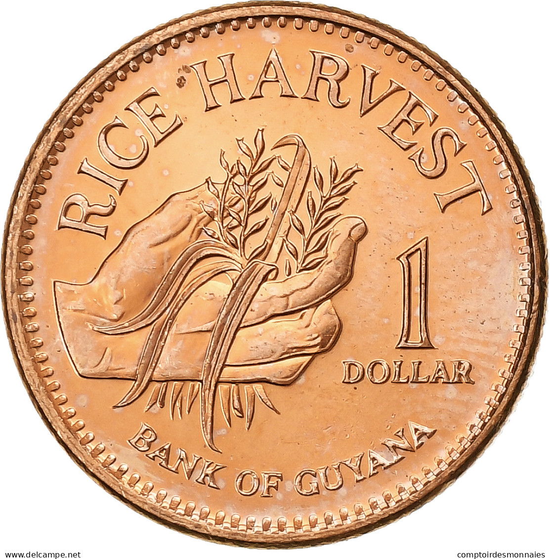 Guyana, Dollar, 2005, Royal Mint, Cuivre Plaqué Acier, SUP, KM:50 - Guyana
