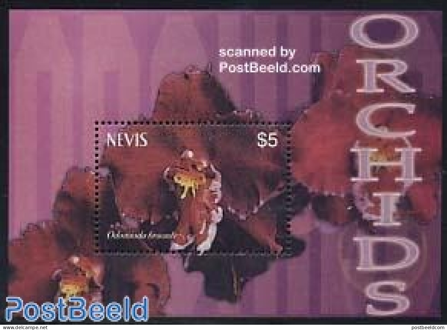 Nevis 2003 Orchids S/s, Odontioda Brocade, Mint NH, Nature - Flowers & Plants - Orchids - St.Kitts And Nevis ( 1983-...)
