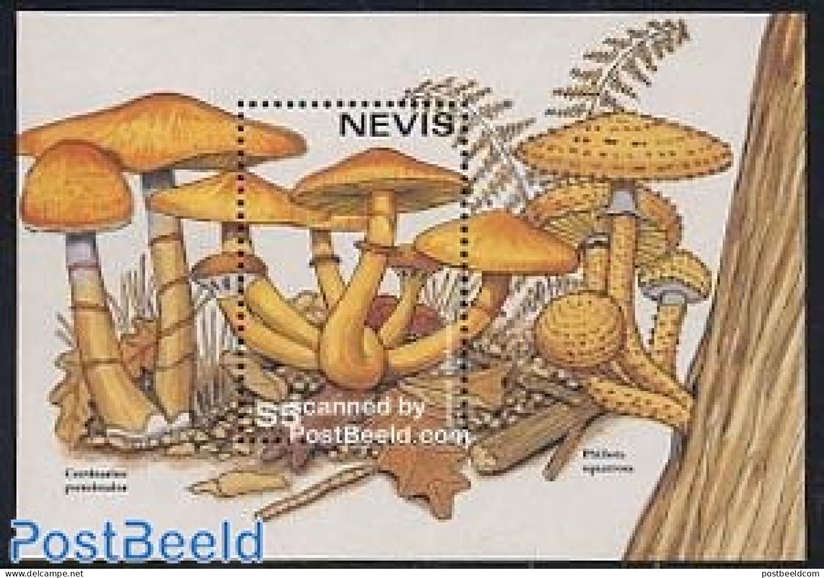 Nevis 1997 Mushrooms S/s, Gymnopilus Junonius, Mint NH, Nature - Mushrooms - Funghi