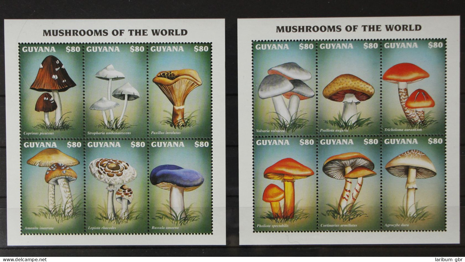 Guyana 5919-5930 Postfrisch Kleinbogensatz / Pilze #GH384 - Guyana (1966-...)