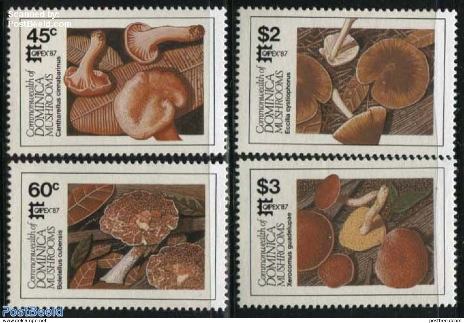 Dominica 1987 Capex, Mushrooms 4v, Mint NH, Nature - Mushrooms - Funghi