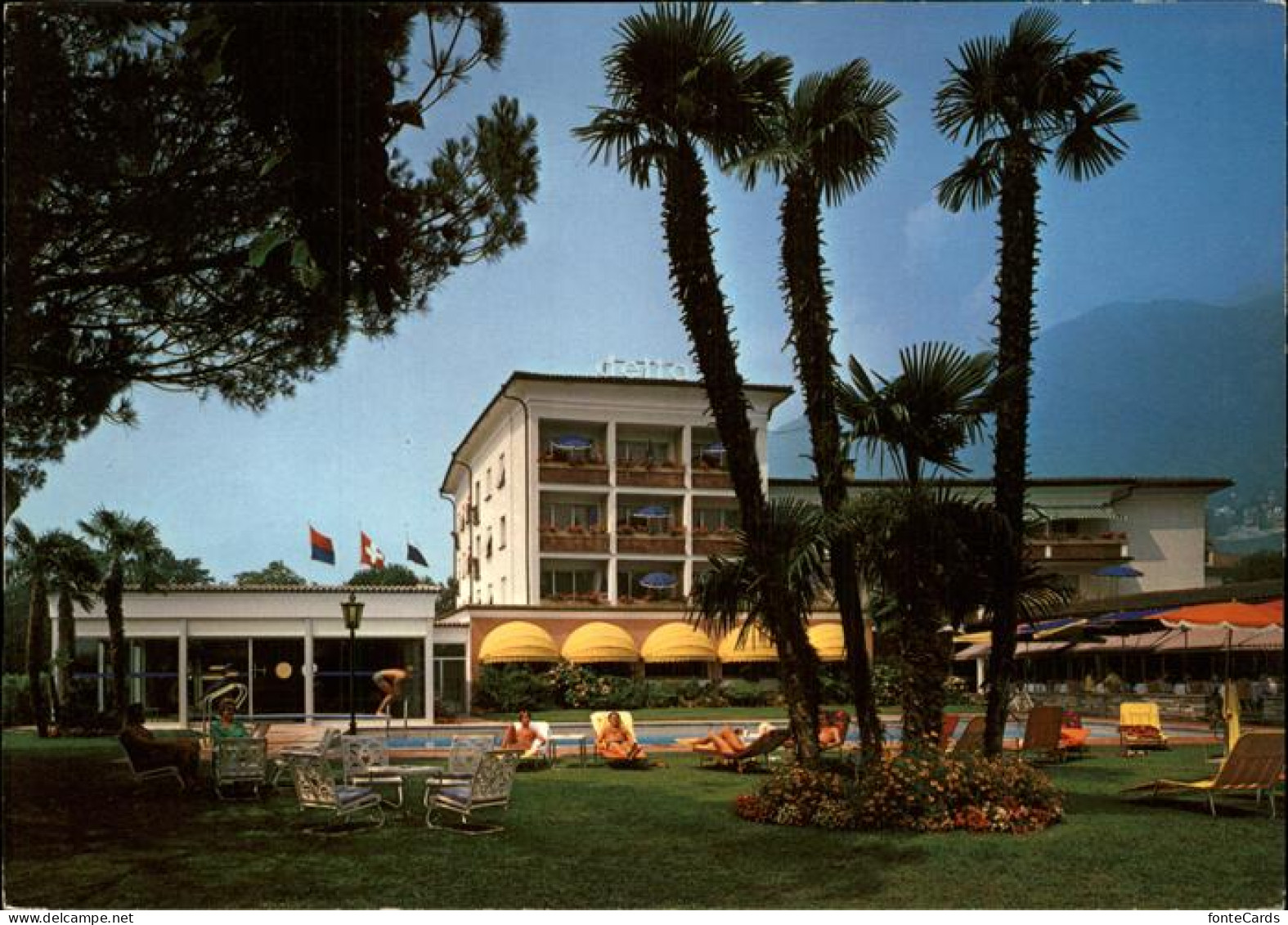 11475718 Ascona TI Hotel Delta Schwimmbad Liegewiese Ascona - Otros & Sin Clasificación