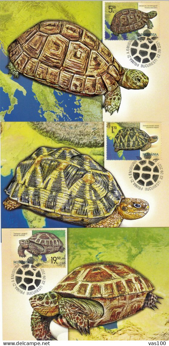 TORTUES X3,CM,MAXI CARD,CARTES MAXIMUM , 2021 ROMANIA - Turtles