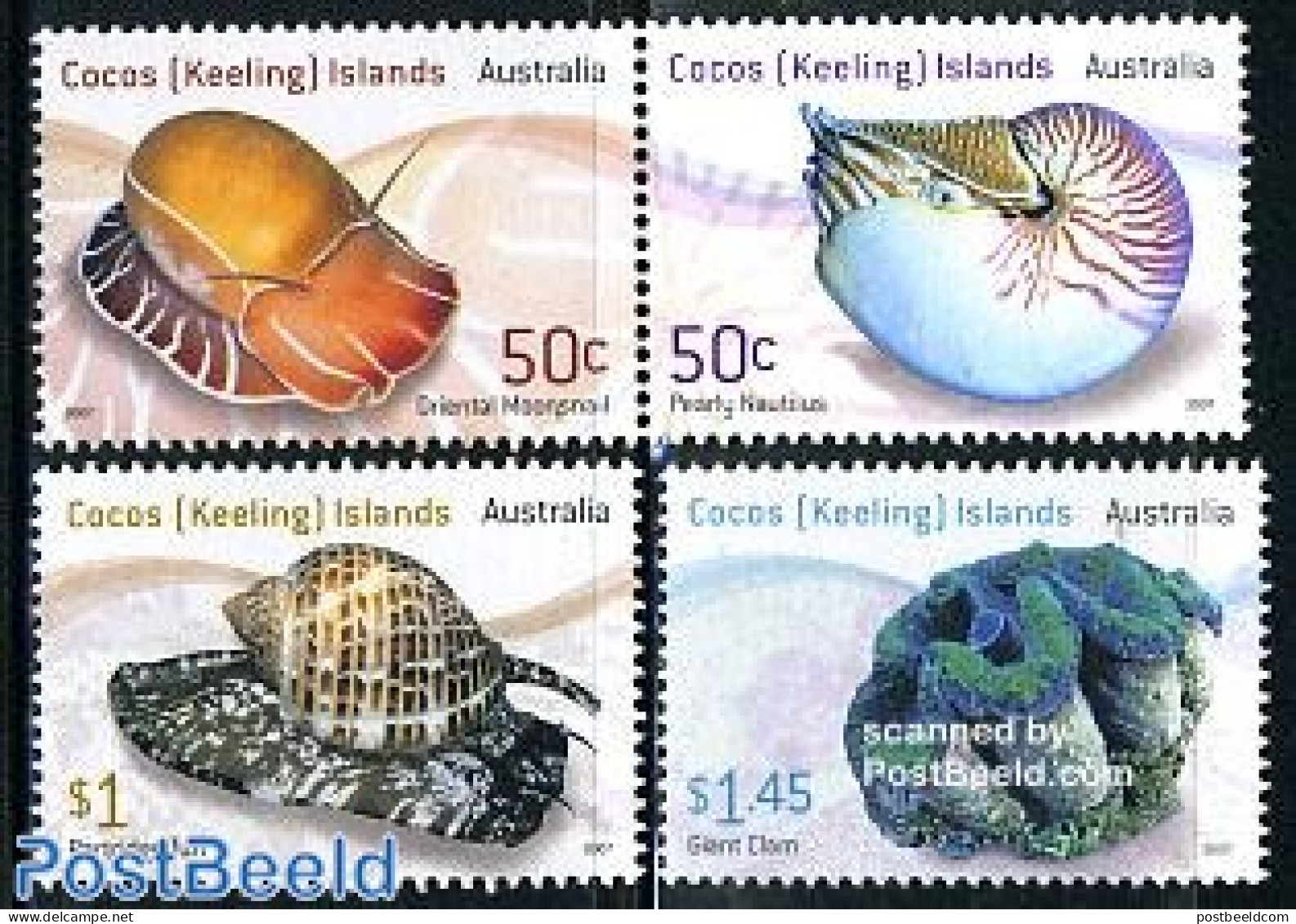 Cocos Islands 2007 Living Shells 4v (2v+[:]), Mint NH, Nature - Shells & Crustaceans - Marine Life