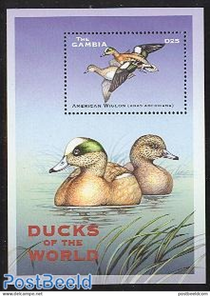 Gambia 2001 American Wigeon S/s, Mint NH, Nature - Birds - Ducks - Gambia (...-1964)