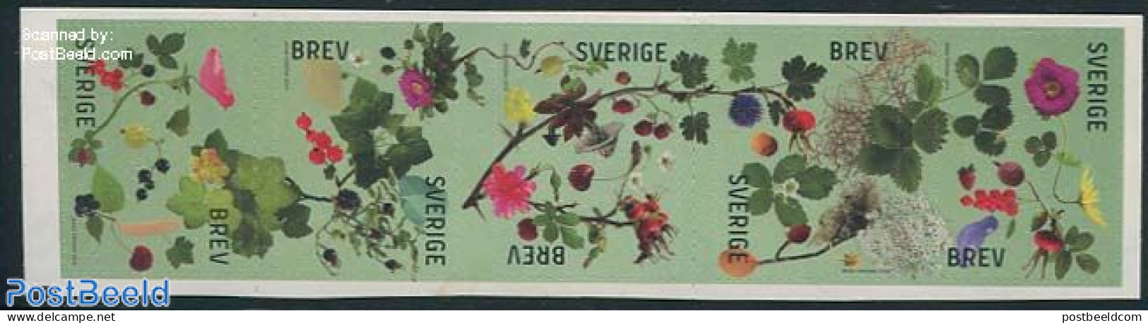 Sweden 2014 Berries 5v S-a, Mint NH, Nature - Fruit - Unused Stamps