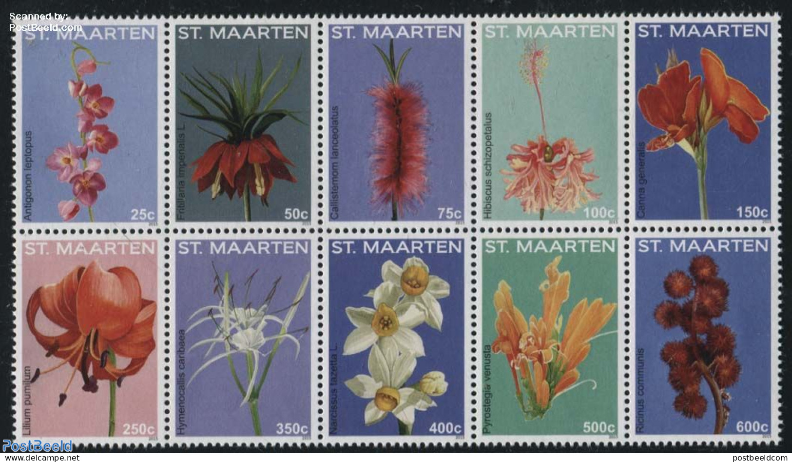 St. Maarten 2015 Flowers 10v [++++], Mint NH, Nature - Flowers & Plants - Autres & Non Classés