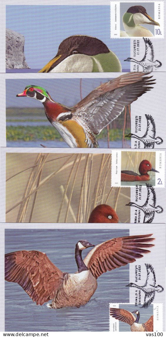 CANARDS X4,CM,MAXI CARD,CARTES MAXIMUM , 2022 ROMANIA - Canards