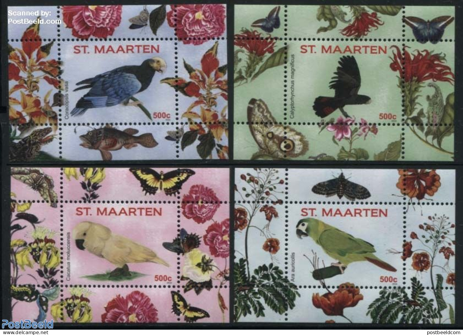 St. Maarten 2016 Parrots 4 S/s, Mint NH, Nature - Birds - Parrots - Sonstige & Ohne Zuordnung