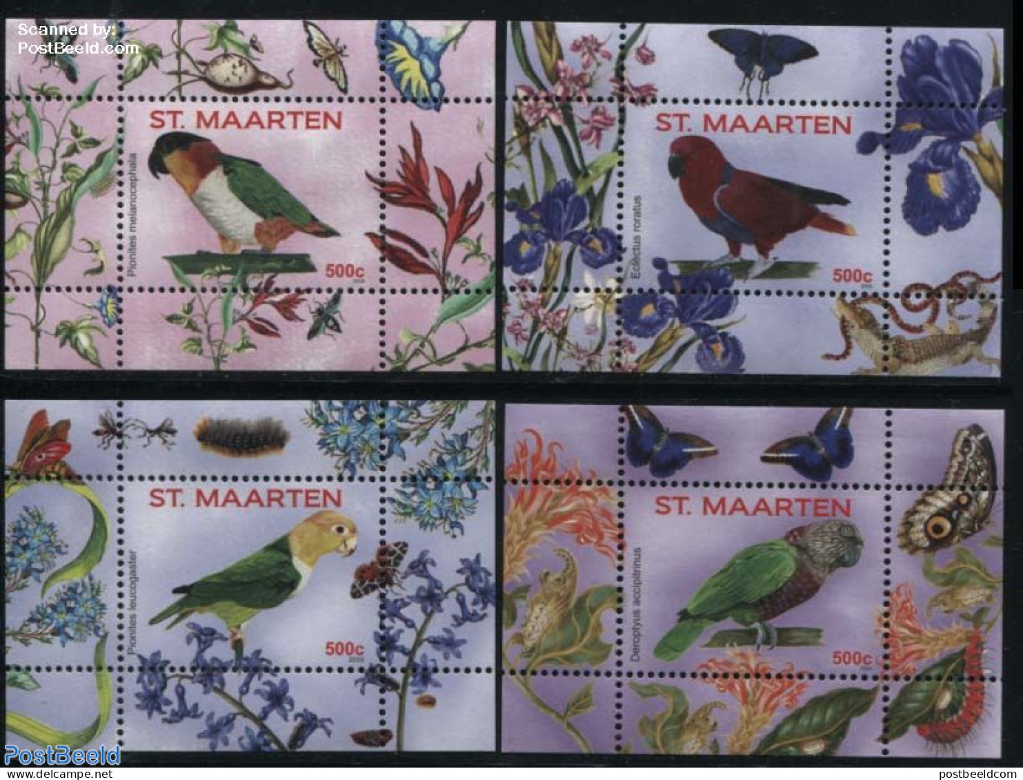 St. Maarten 2016 Parrots 4 S/s, Mint NH, Nature - Birds - Parrots - Other & Unclassified