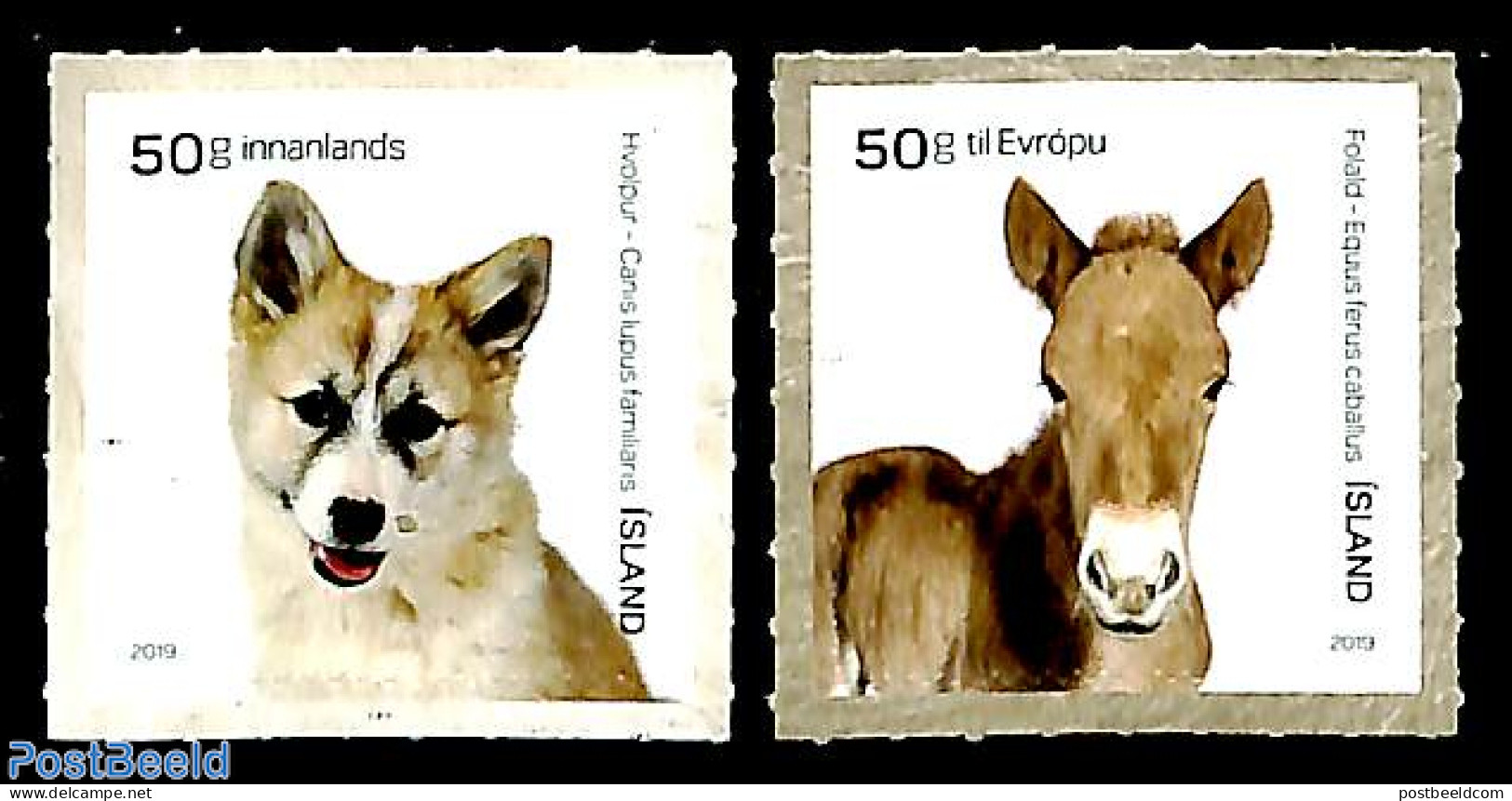 Iceland 2019 Baby Farm Animals 2v S-a, Mint NH, Nature - Animals (others & Mixed) - Dogs - Horses - Unused Stamps