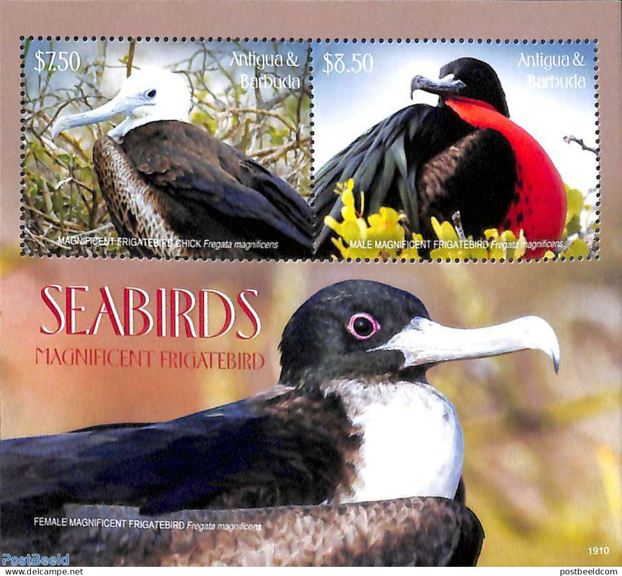 Antigua & Barbuda 2019 Seabirds 2v M/s, Mint NH, Nature - Birds - Antigua And Barbuda (1981-...)