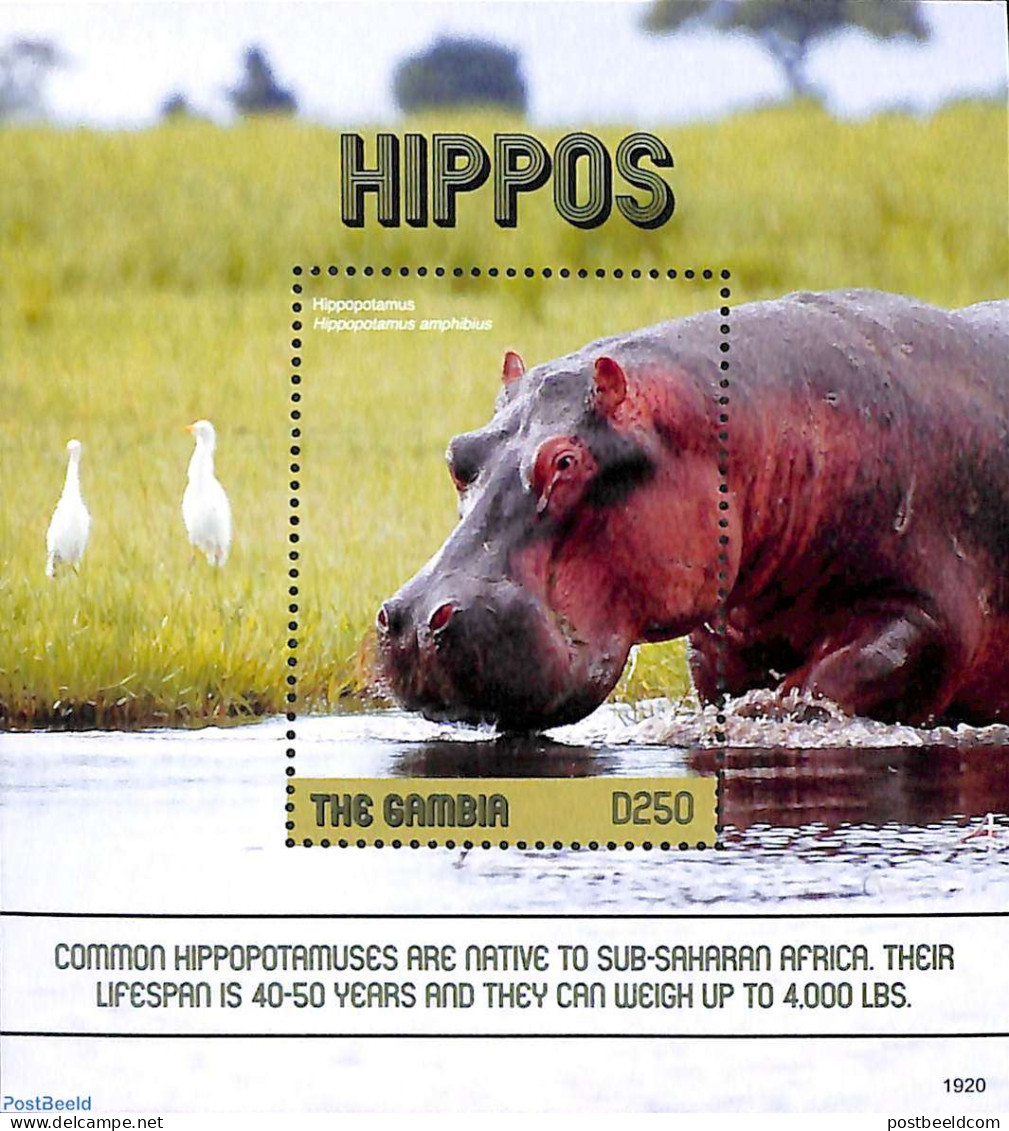 Gambia 2019 Hippos S/s, Mint NH, Nature - Animals (others & Mixed) - Birds - Hippopotamus - Wild Mammals - Gambia (...-1964)