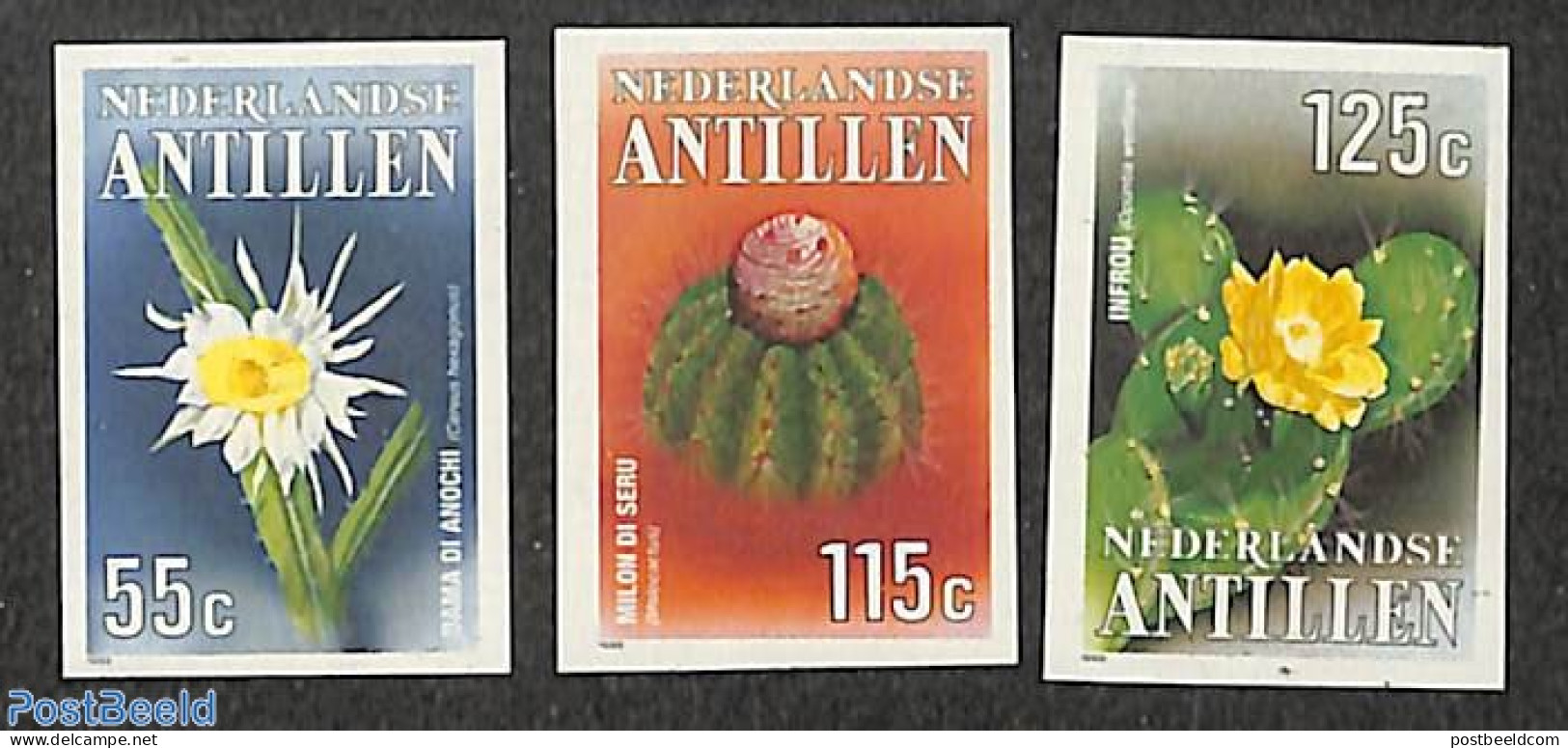 Netherlands Antilles 1988 Flora 3v, Imperforated, Mint NH, Nature - Flowers & Plants - Sonstige & Ohne Zuordnung