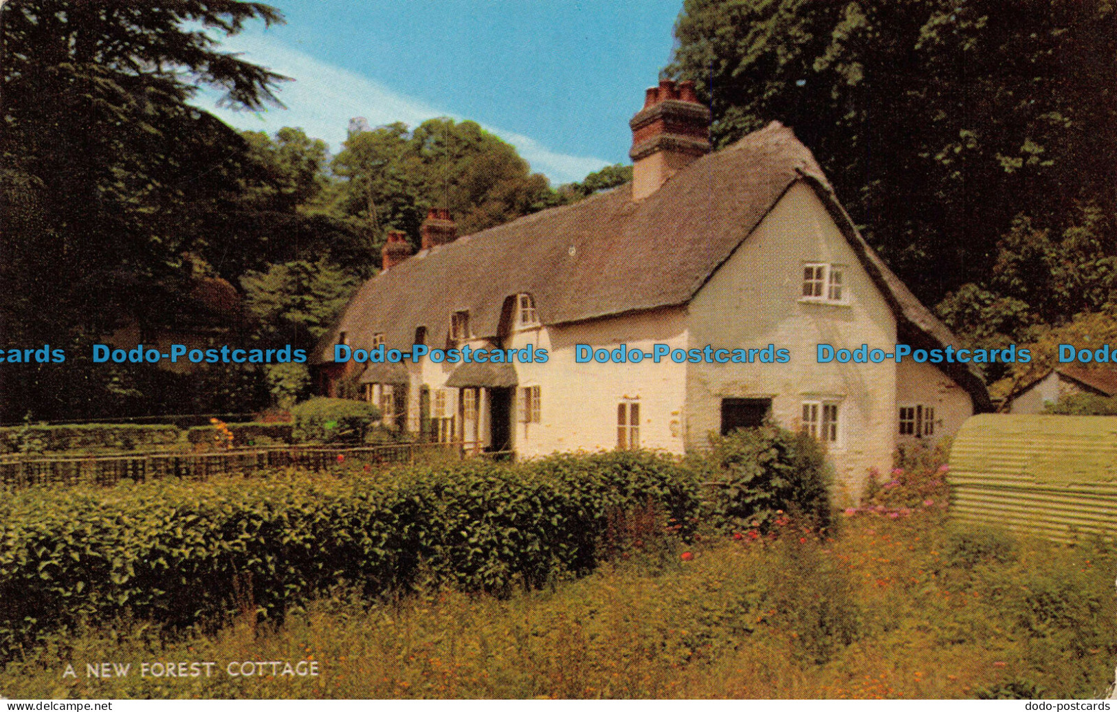 R076212 A New Forest Cottage. Salmon. 1974 - World