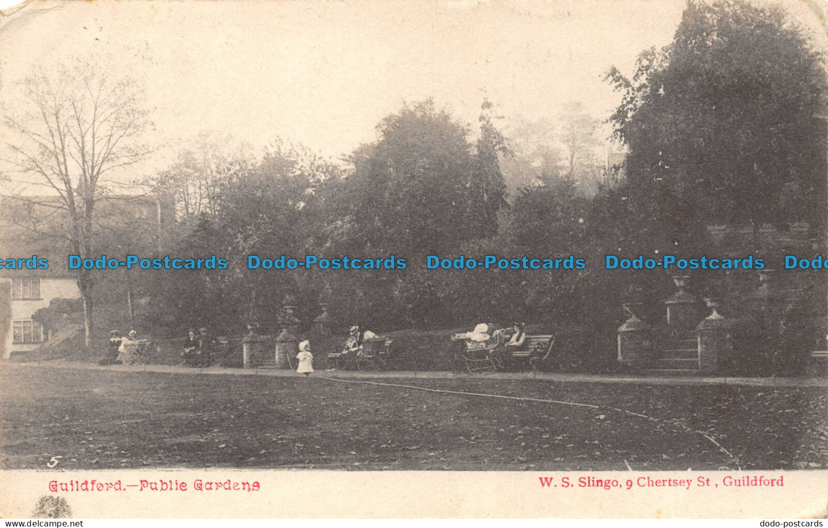 R076227 Guildford. Public Gardens. W. S. Slingo. 1905 - World