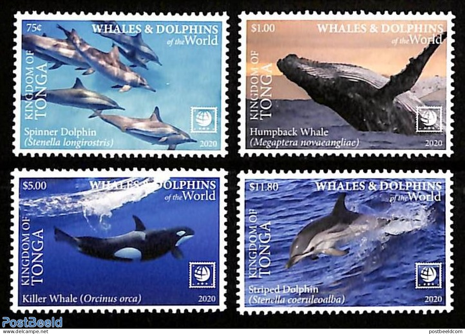 Tonga 2020 Whales And Dolphins 4v, Mint NH, Nature - Sea Mammals - Altri & Non Classificati