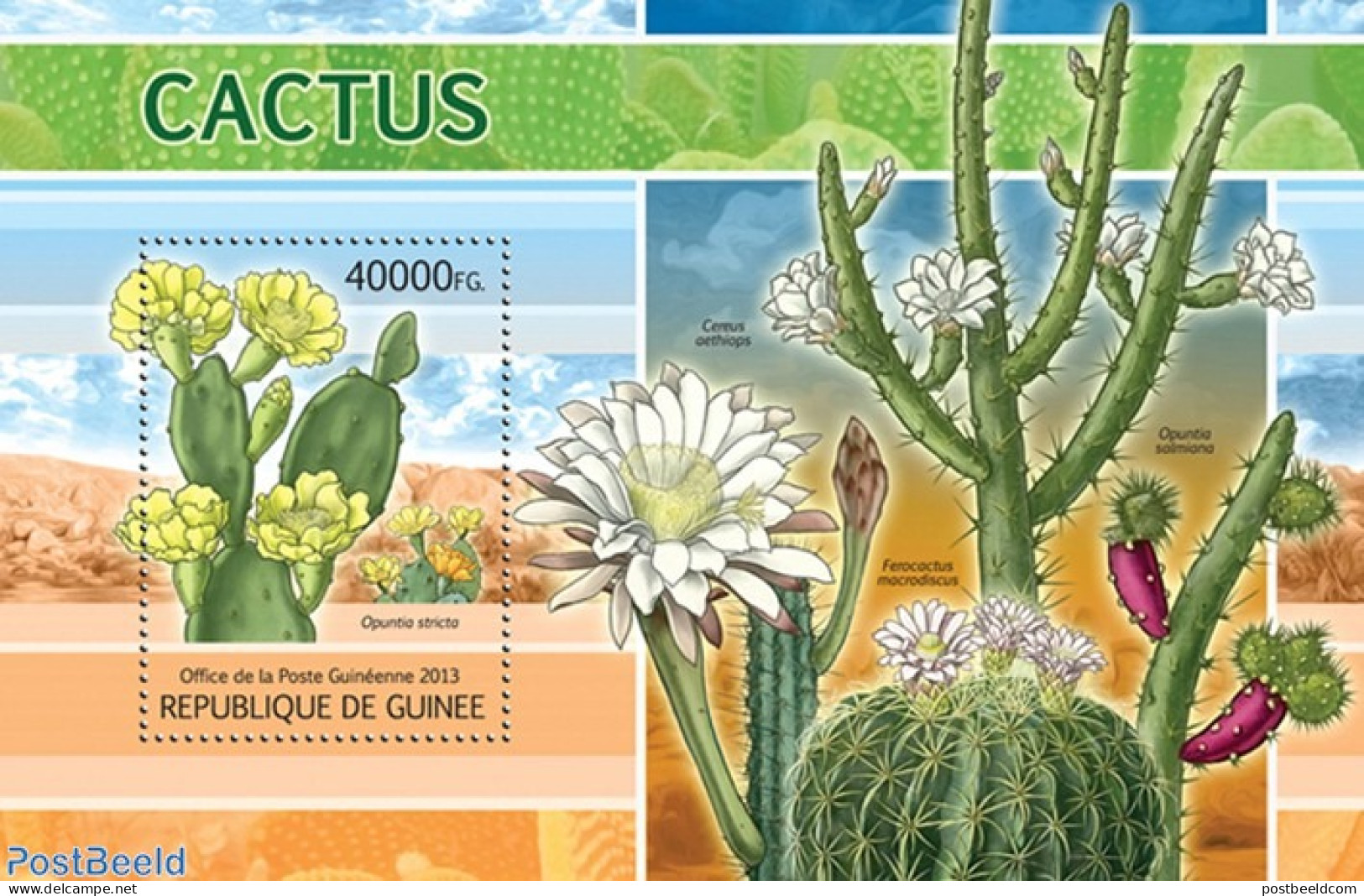 Guinea, Republic 2013 Cactus, Mint NH, Nature - Cacti - Flowers & Plants - Cactusses