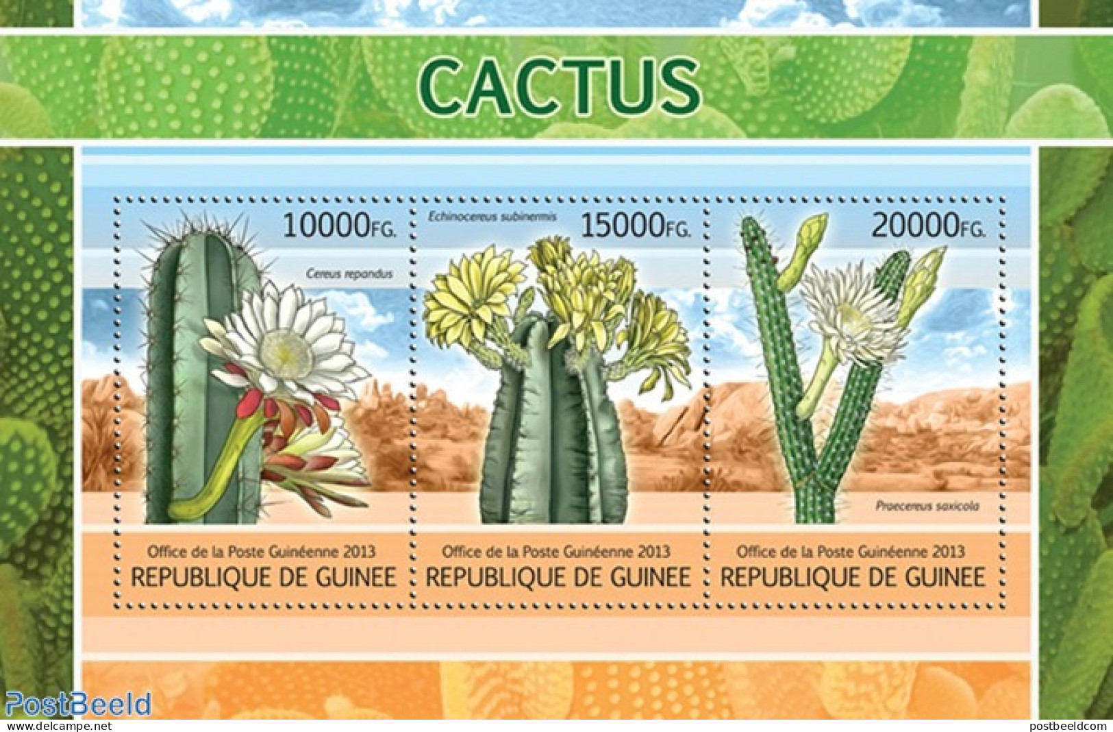 Guinea, Republic 2013 Cactus, Mint NH, Nature - Cacti - Flowers & Plants - Cactusses