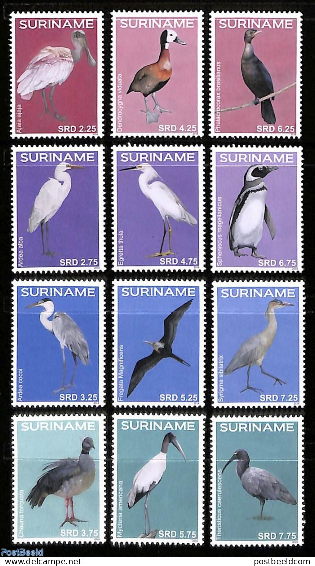 Suriname, Republic 2016 Birds 12v, Mint NH, Nature - Birds - Penguins - Surinam
