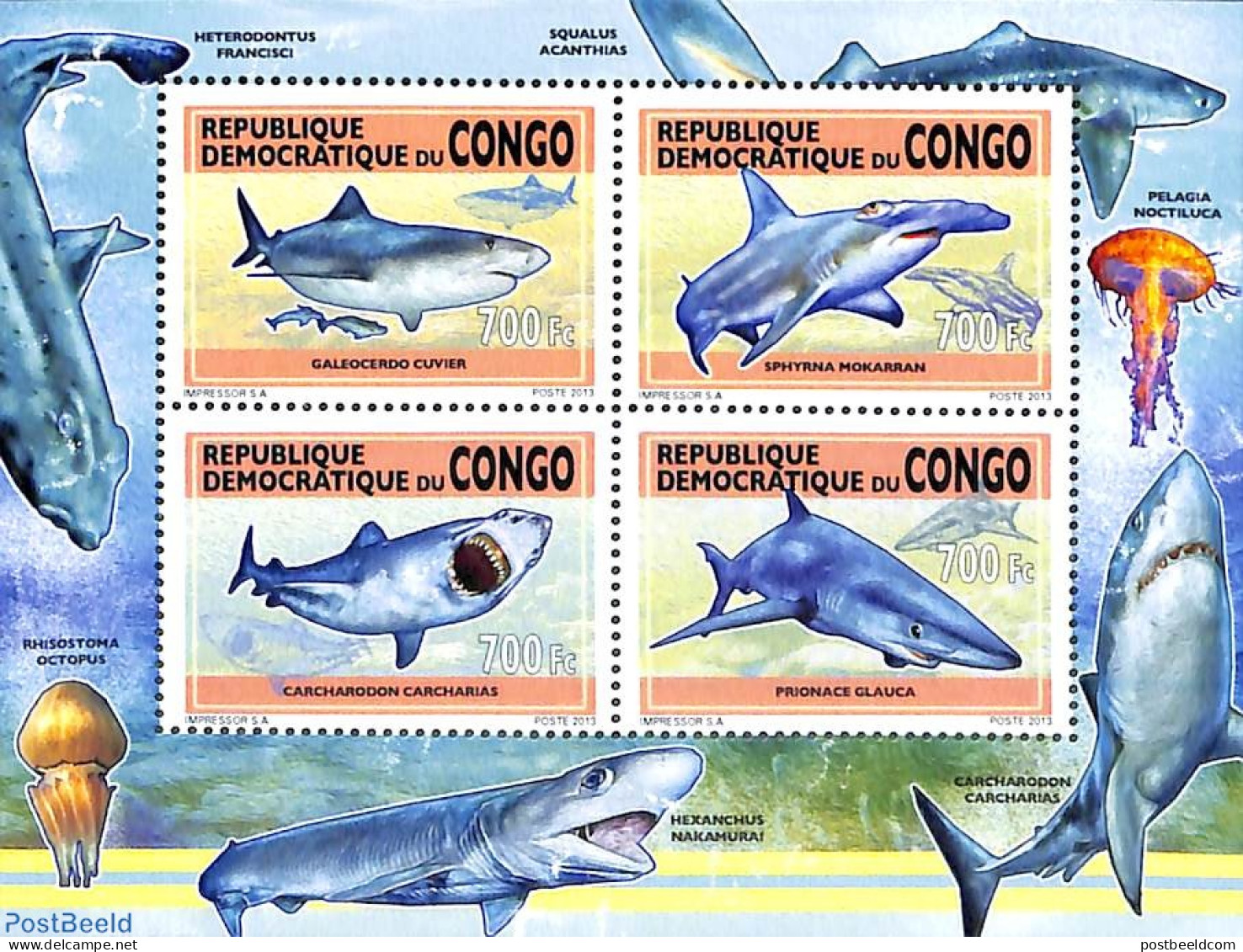 Congo Dem. Republic, (zaire) 2013 Sharks 4v M/s, Mint NH, Nature - Fish - Sharks - Vissen