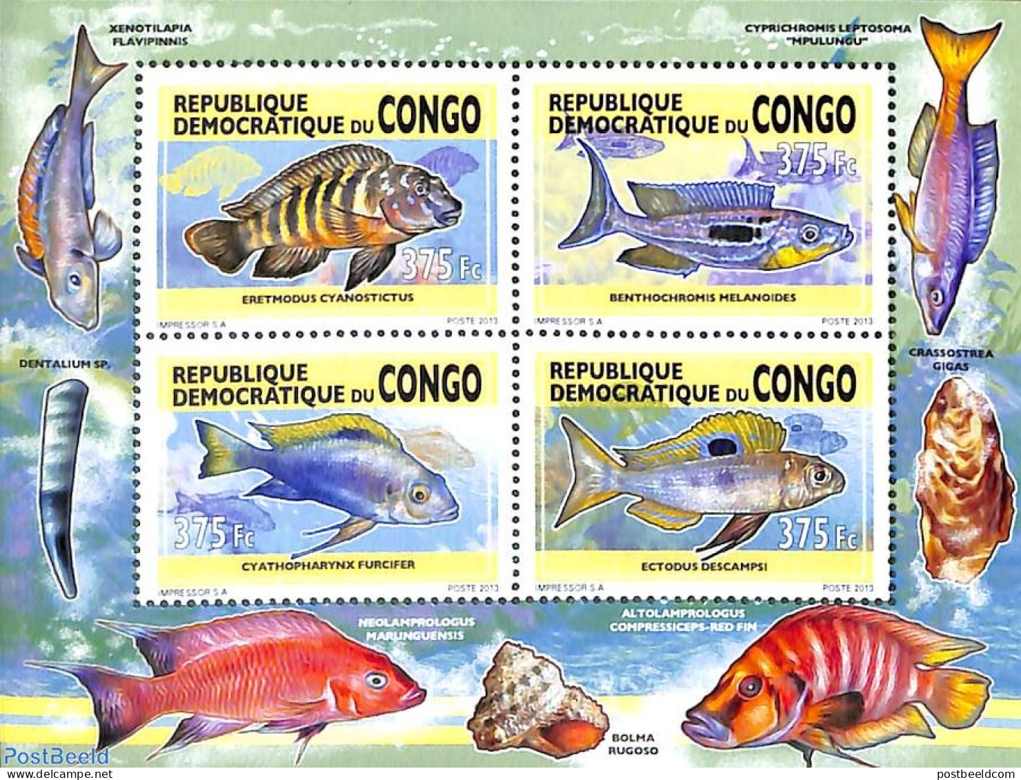 Congo Dem. Republic, (zaire) 2013 Fish 4v M/s, Mint NH, Nature - Fish - Fische