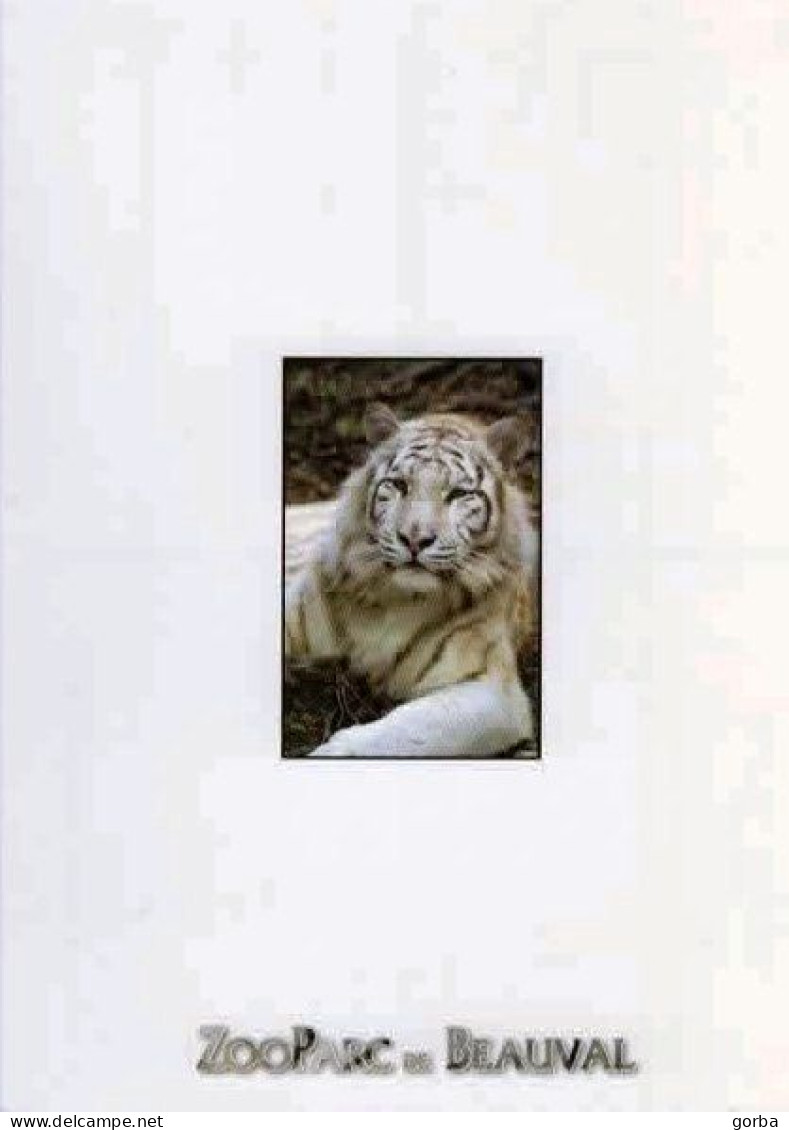 *CPM - 41 - St AIGNAN - Le Zoo De Beauval - Tigre Blanc - Saint Aignan