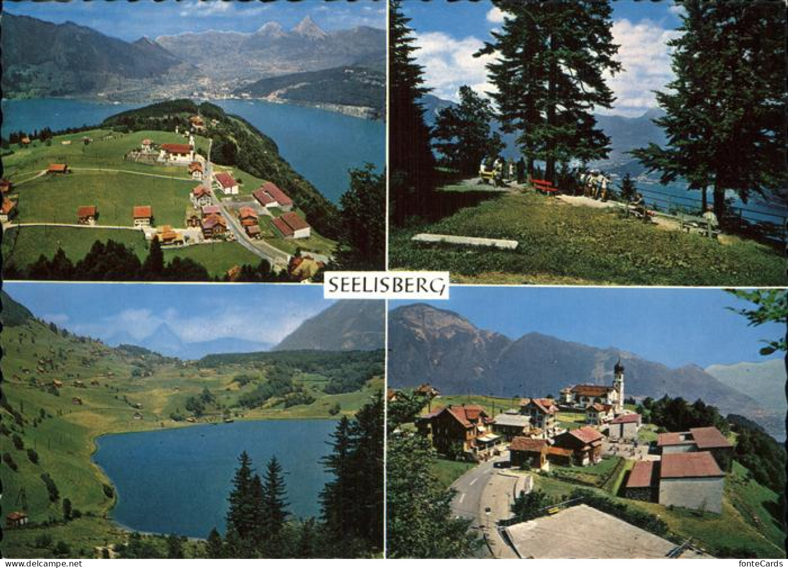 11467006 Seelisberg UR Gesamtansicht Alpenpanorama Vierwaldstaettersee Aussichts - Autres & Non Classés