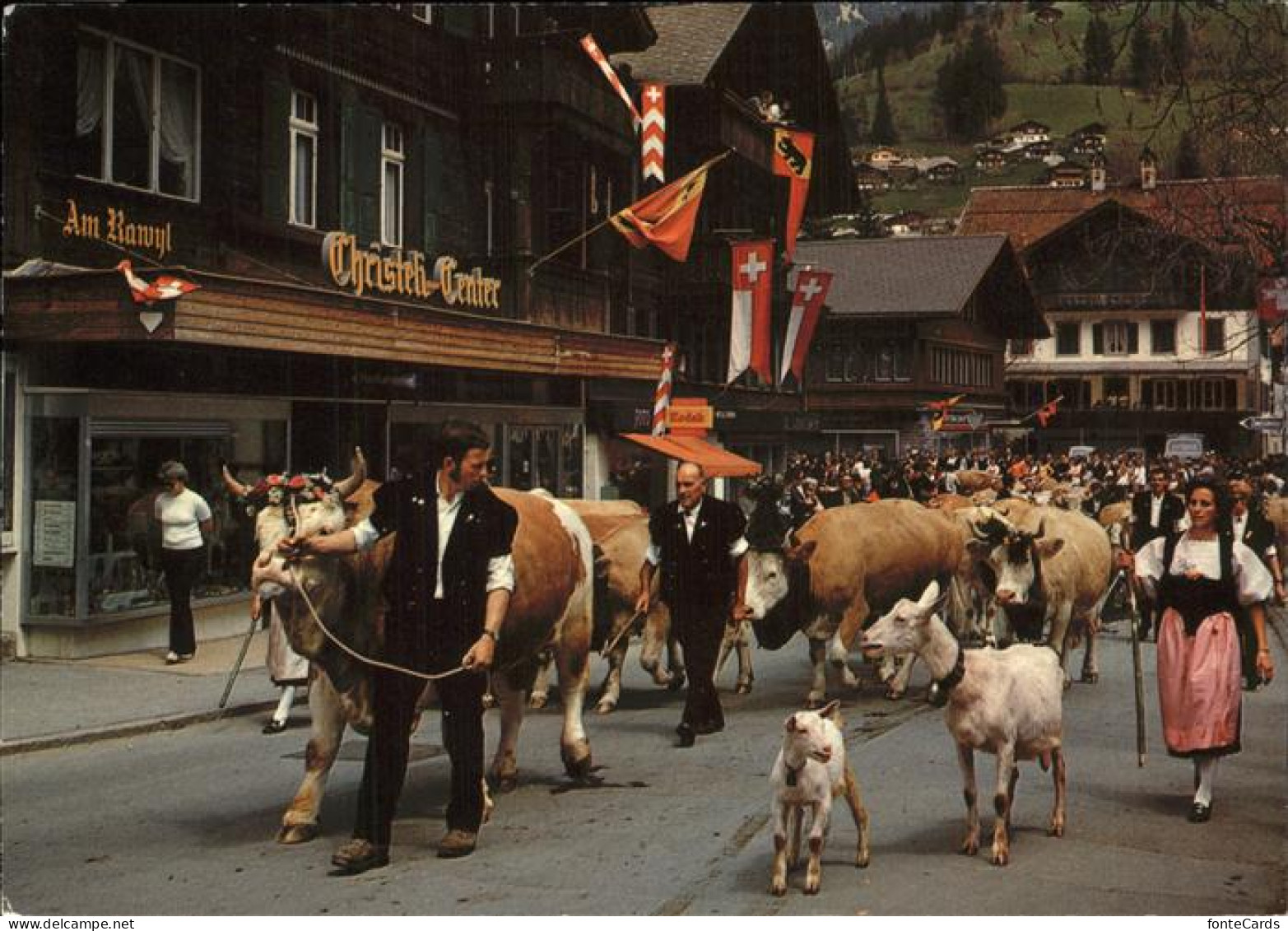 11466998 Lenk Simmental Alpaufzug Kuh Ziege Viehtrieb Lenk Im Simmental - Sonstige & Ohne Zuordnung