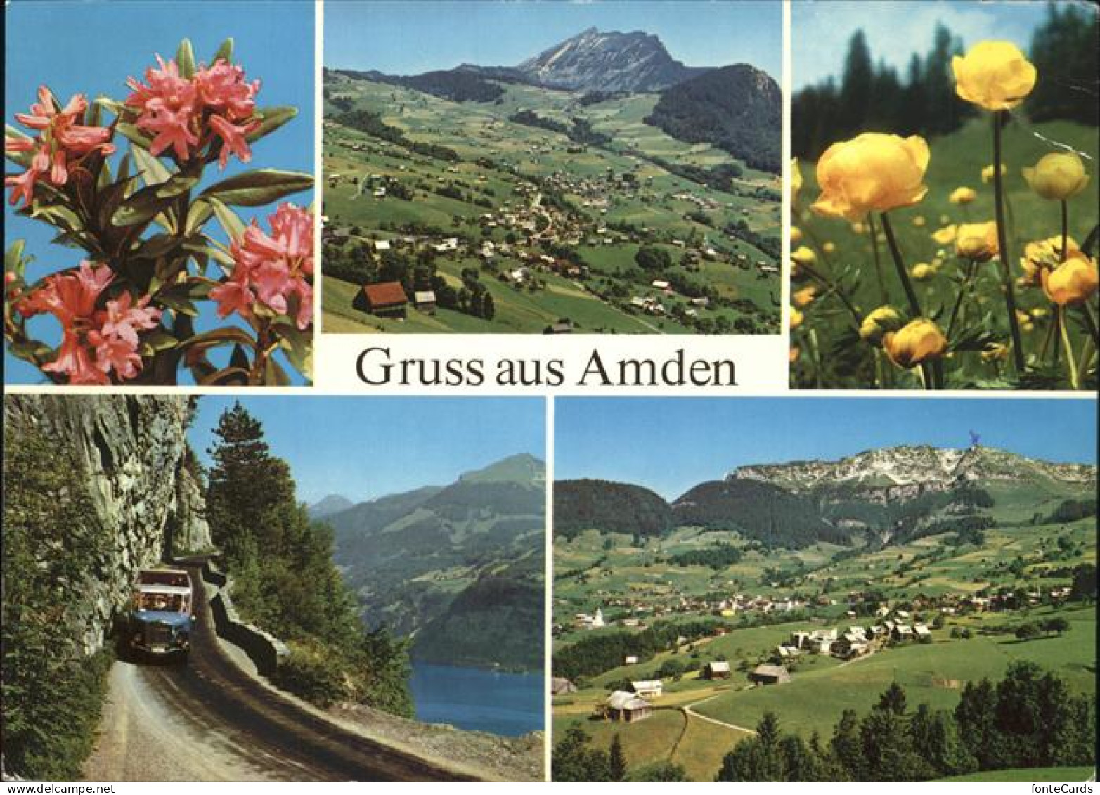 11466893 Amden SG Panorama Walensee Alpenblumen Bergstrasse Betlis - Autres & Non Classés