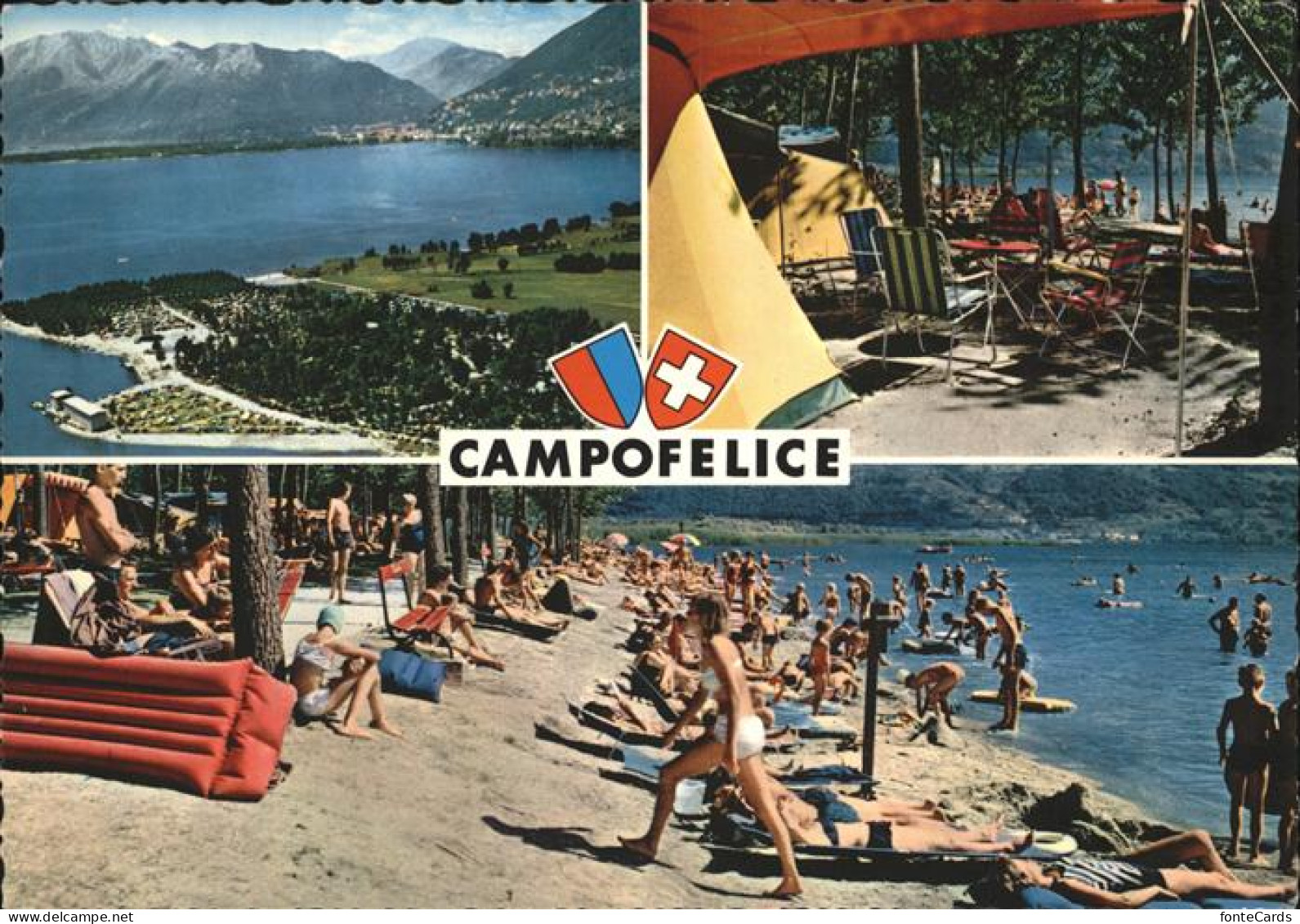 11466873 Campofelice Panorama Lago Maggiore Camping Strand Tenero - Autres & Non Classés