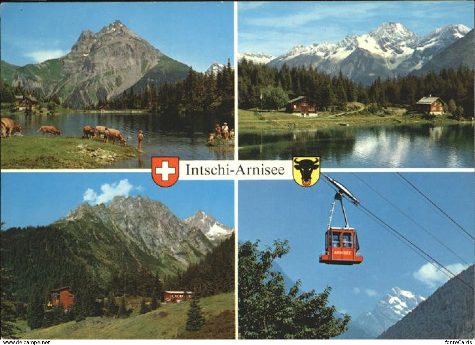 11466788 Intschi Arnisee Luftseilbahn Kuehe Wappen Alpenpanorama Intschi - Autres & Non Classés