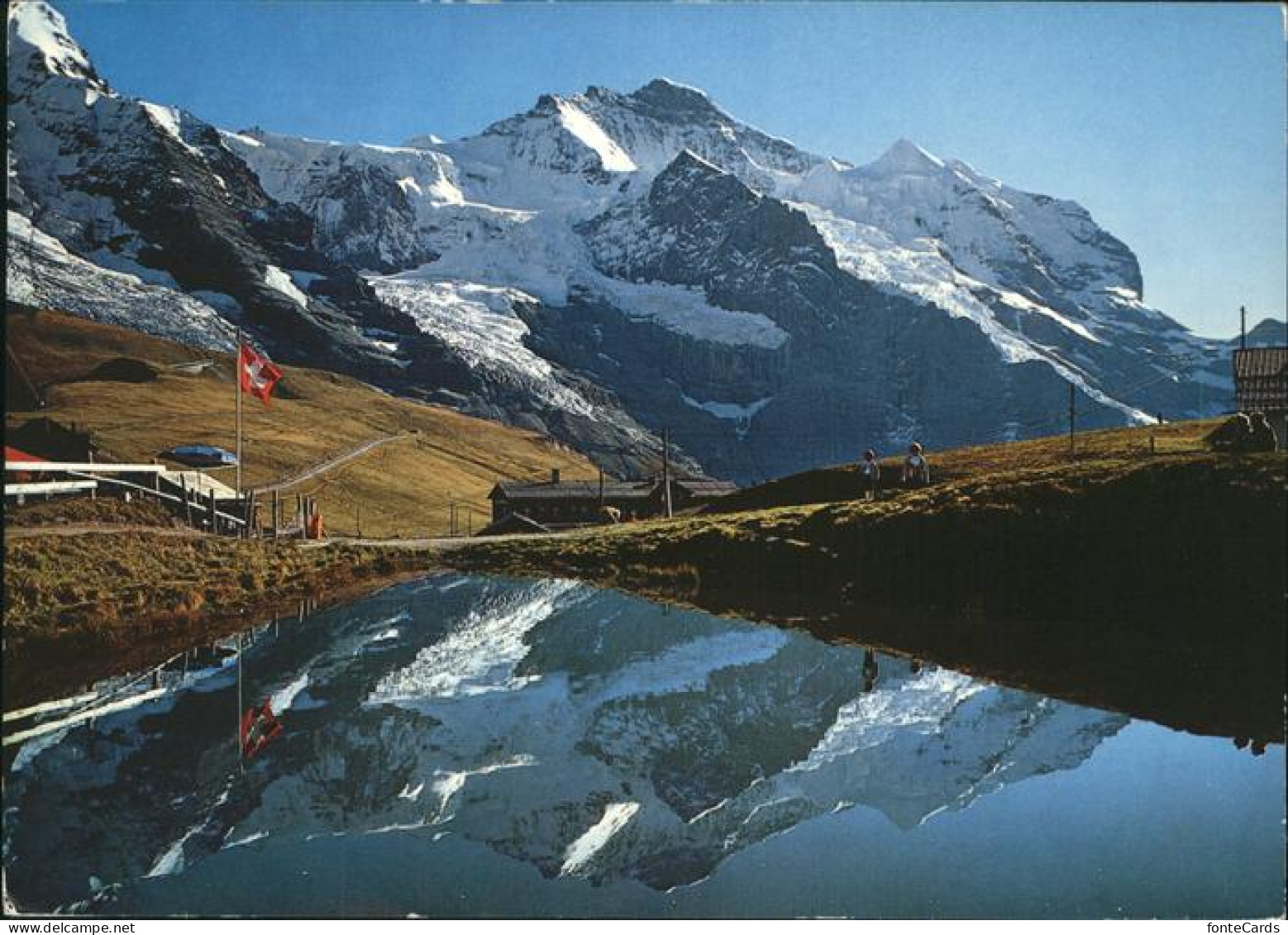 11464180 Kleine Scheidegg Interlaken Mit Jungfrau Kleine Scheidegg - Other & Unclassified