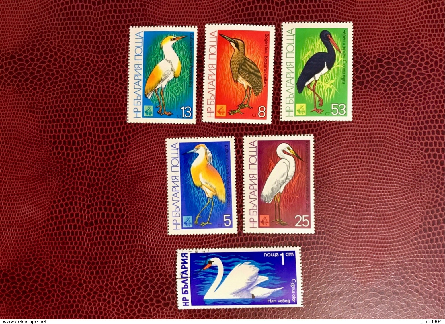 BULGARIE 1979 5v Neuf 1 Oblitère MNH ** Mi Pájaro Bird Pássaro Vogel Ucello Oiseau BULGARIA BULGARIEN - Storchenvögel