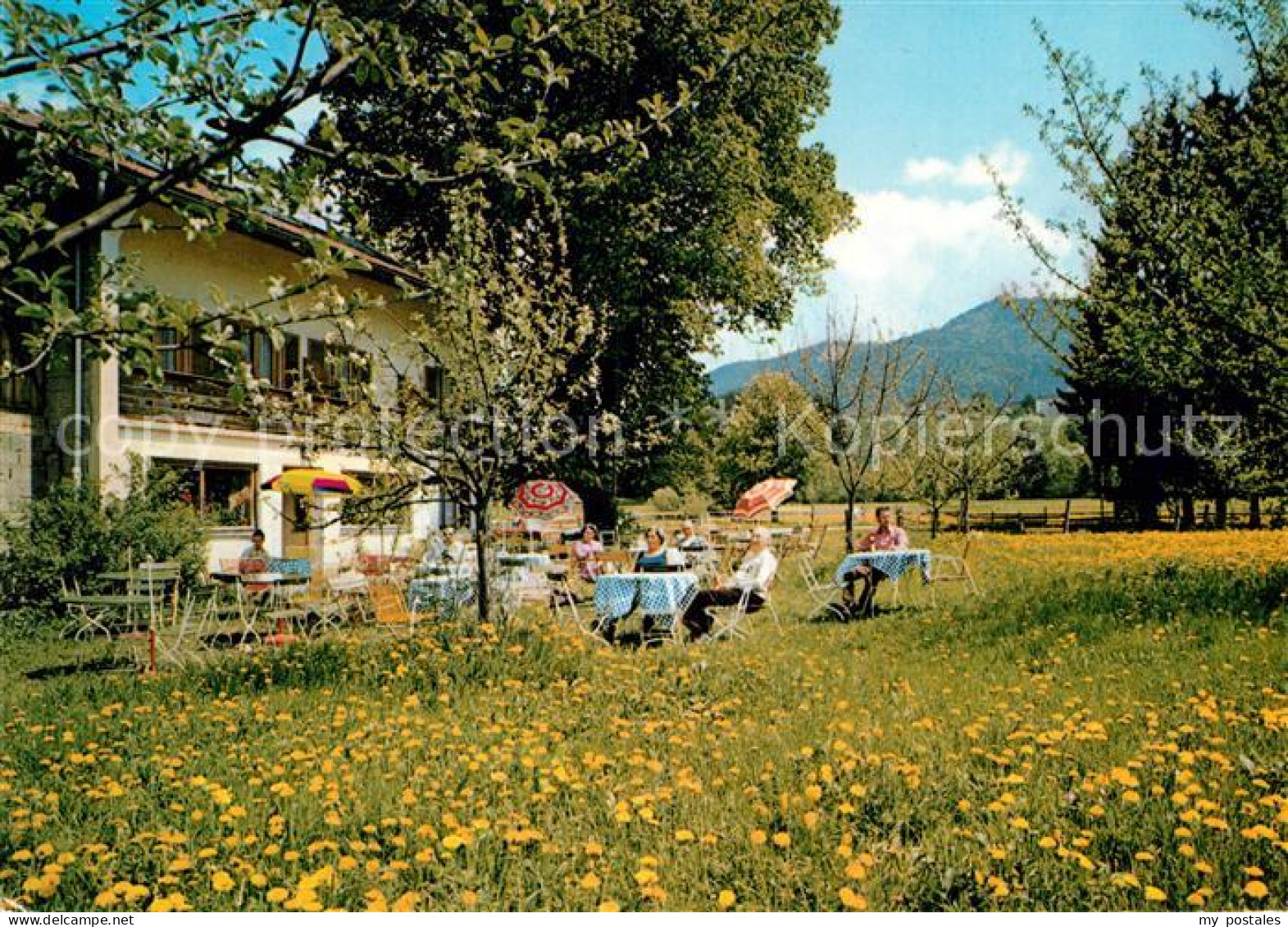 73007664 Bad Heilbrunn Fremdenheim Kolb Garten Terrasse Bad Heilbrunn - Autres & Non Classés