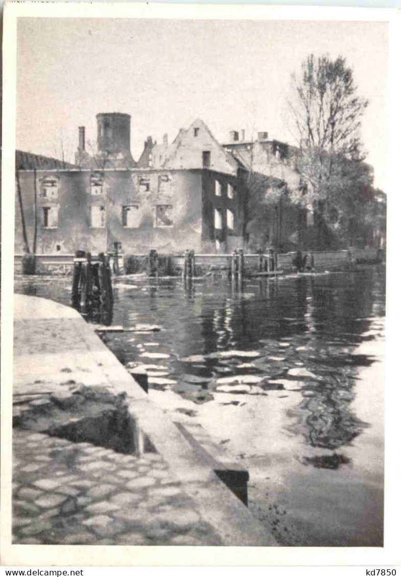 Königsberg - Alte Universität Und Dom Nach Der Zerstörung - Ostpreussen