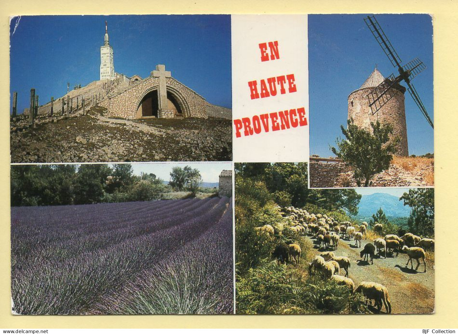 04. EN HAUTE PROVENCE – Multivues – Lavandes / Moutons (voir Scan Recto/verso) - Other & Unclassified